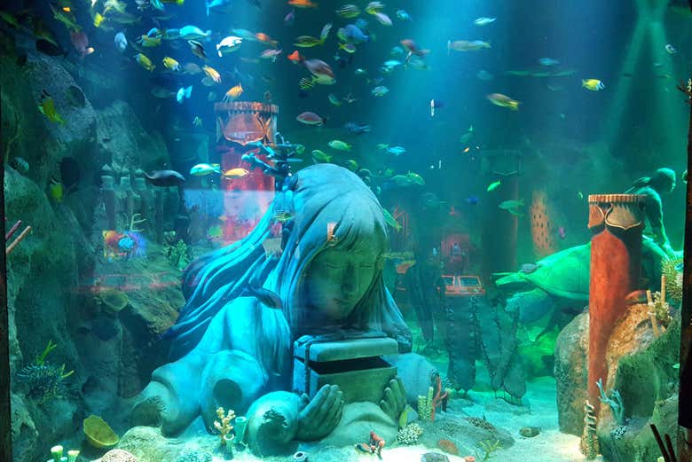 Sea Life Nagoya
