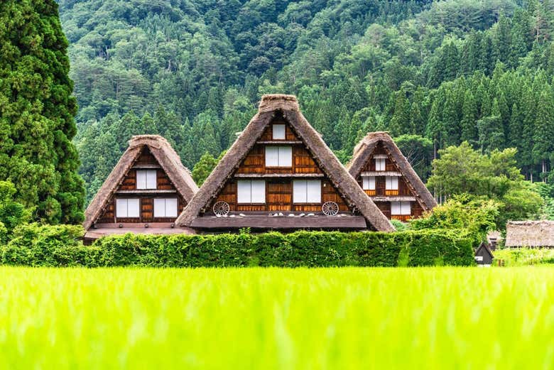 Villa rural Shirakawago