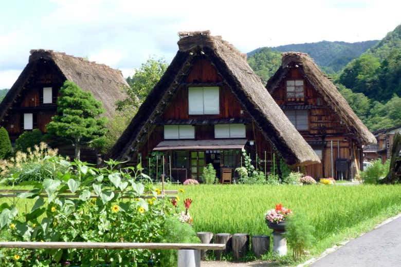 Aldea histórica de Shirakawago