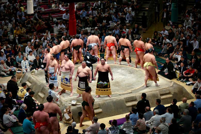 El torneo de sumo a punto de empezar