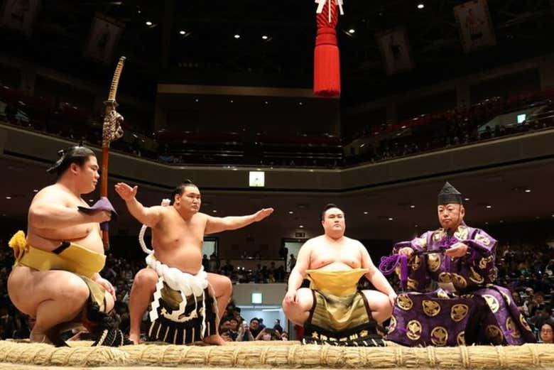 Luchadores de sumo preparados 