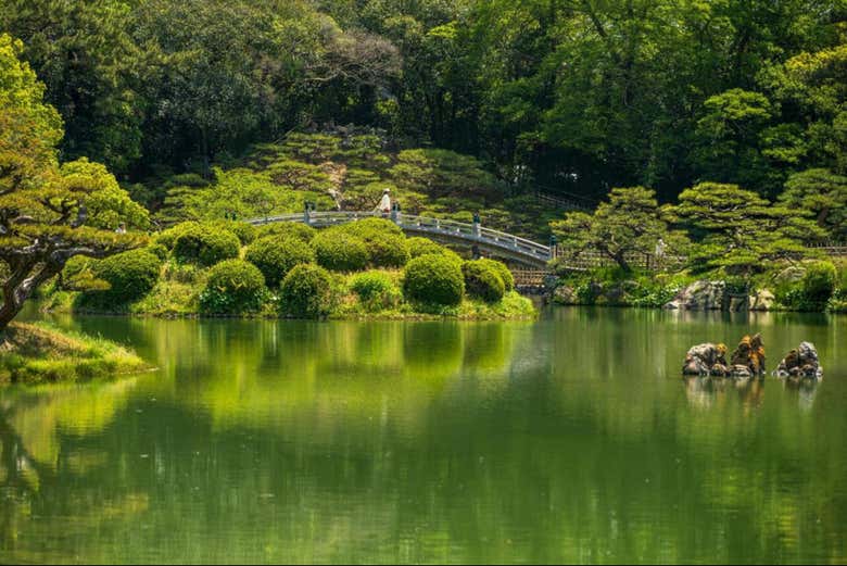 Jardín Ninomaru, un clásico jardín japonés
