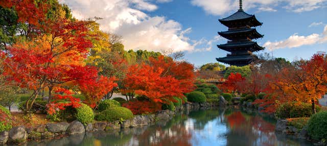 Free tour por Nara