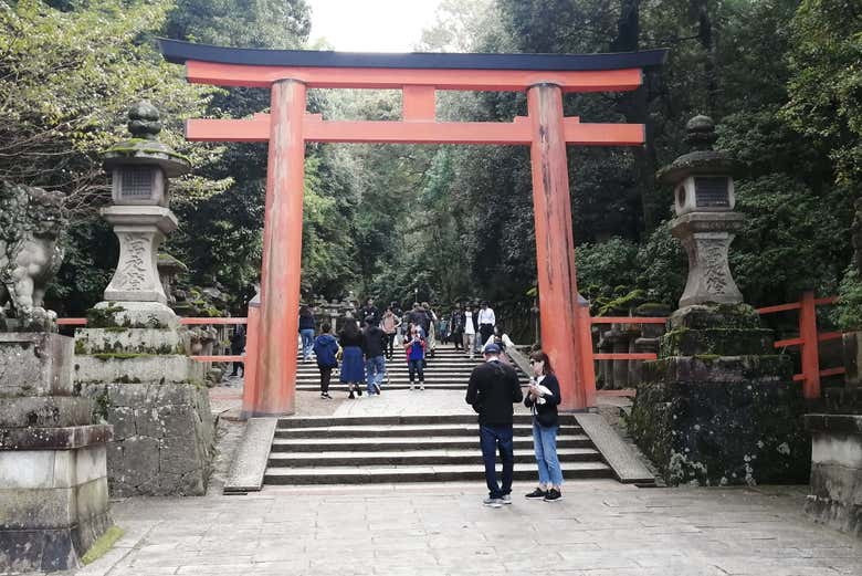 O Santuário de Tamukeyama Hachiman-gu
