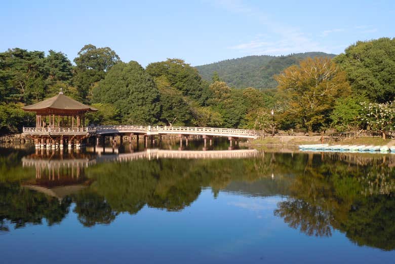 Parque de Nara