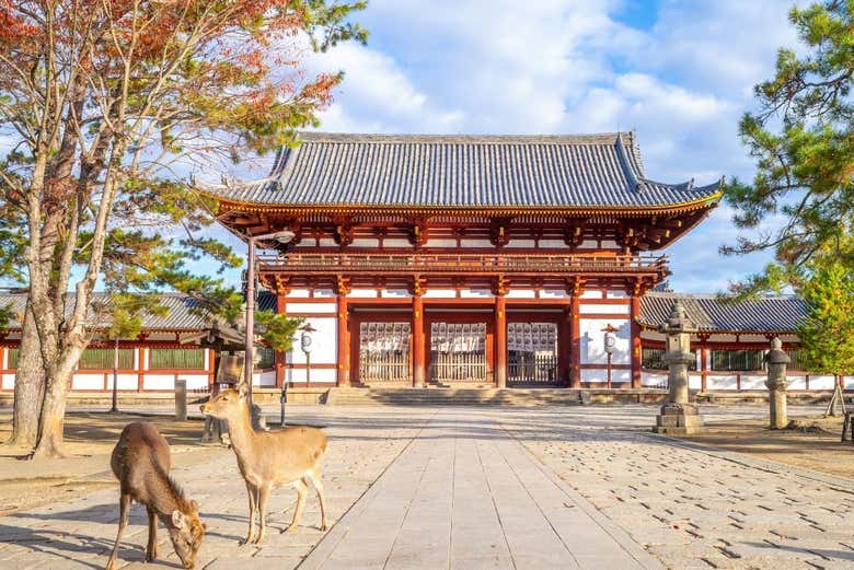Explorez des sites inscrits au patrimoine mondial de l'UNESCO