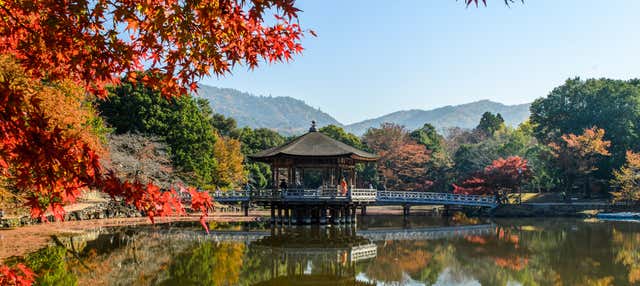 Tour privado por Nara