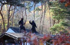 Billet pour Edo Wonderland Nikko Edomura