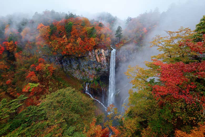 Chute d'eau dans les environs de Nikko