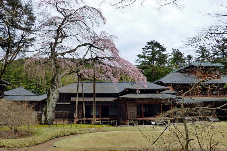 L'impressionnant héritage monumental de Nikko