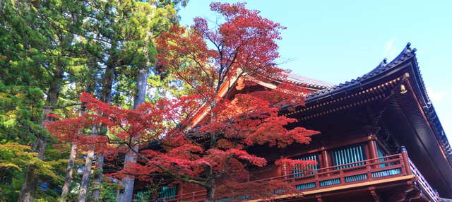 Nikko World Heritage Area Pass