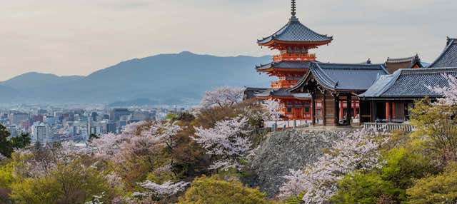 Kyoto Day Trip