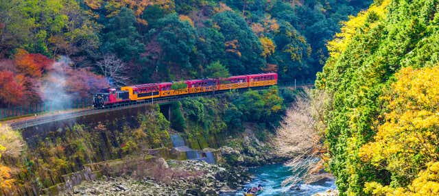 Kyoto Tour + Sagano Train