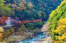 Excursión a Kioto + Tren Sagano