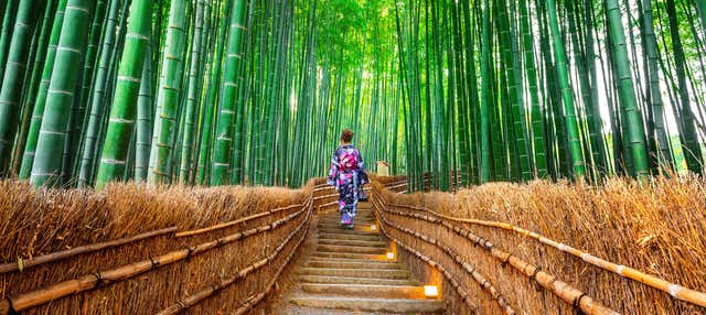 Excursão a Arashiyama, Kinkakuji e Nara