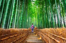 Excursión a Arashiyama, Kinkakuji y Nara