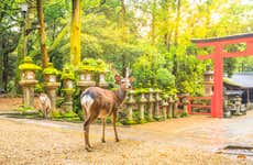 Excursion privée à Nara