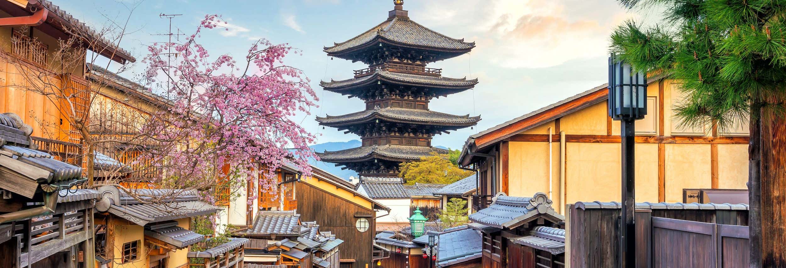 Day trips in Osaka