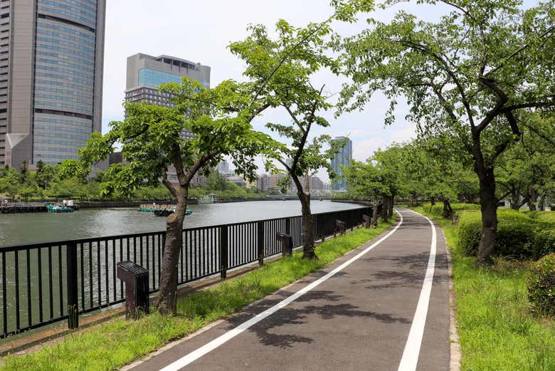 Bike lane next to the river
