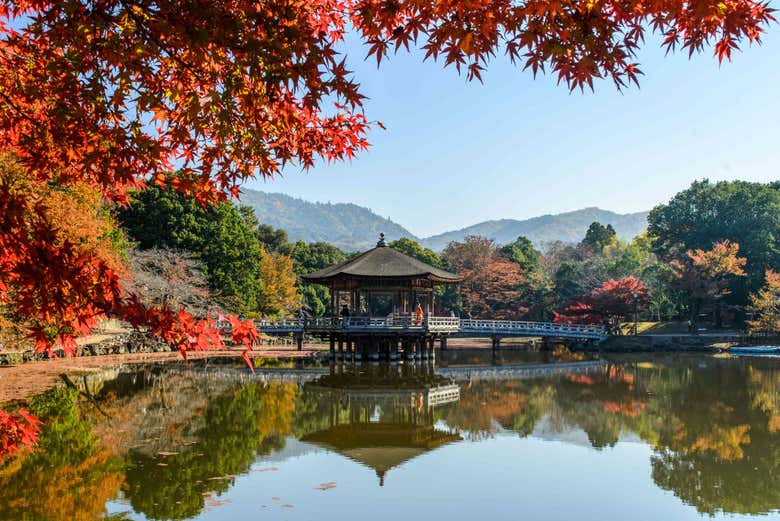 Conhecendo o Parque de Nara