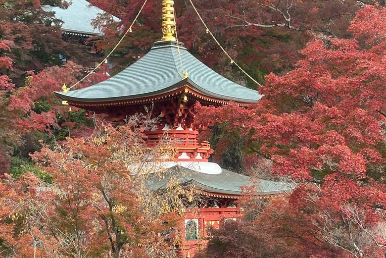 Pagoda del templo Katsuo-ji