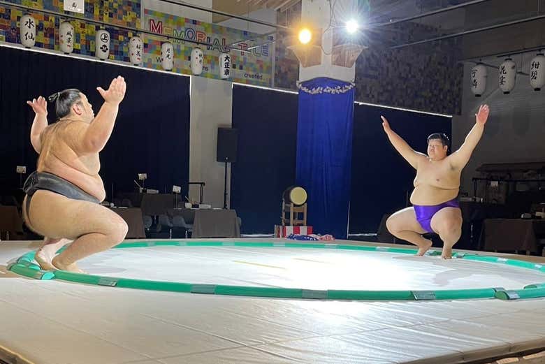 Vous verrez toutes les phases d'un combat de sumo