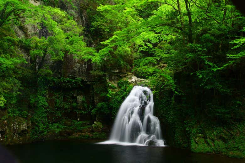 Cascade Senju