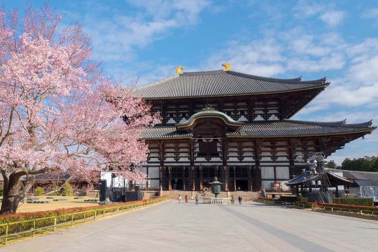 Temple Tōdai-ji