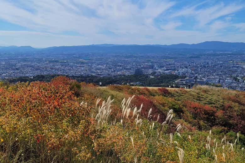 Mont Wakakusa
