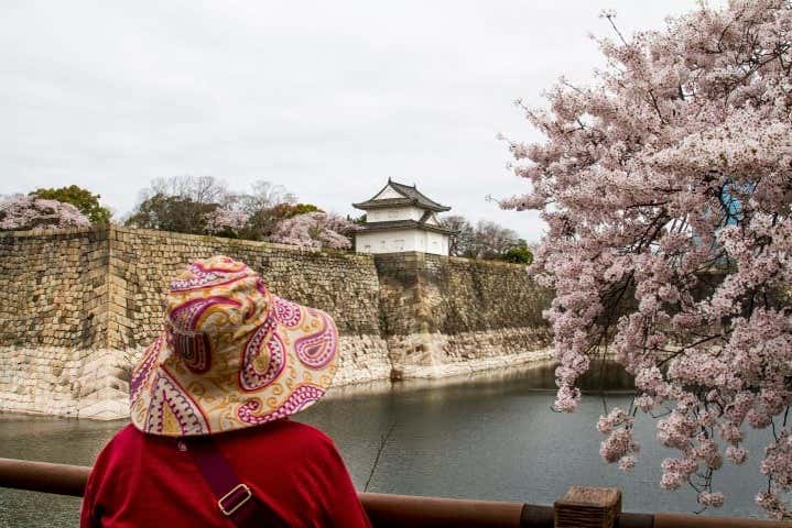 Marvel at the views from Osaka Castle Park
