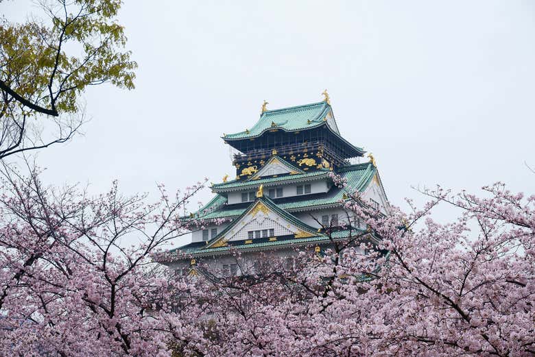 Welcome to Osaka Castle!