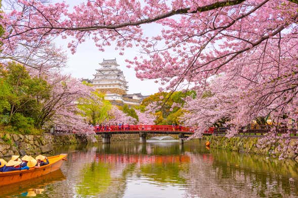 Tour de 10 días desde Osaka hasta Tokio