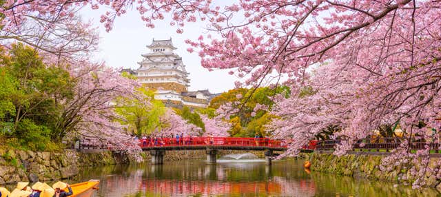Tour de 10 días desde Osaka hasta Tokio