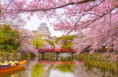 Tour de 10 días desde Osaka hasta Tokio