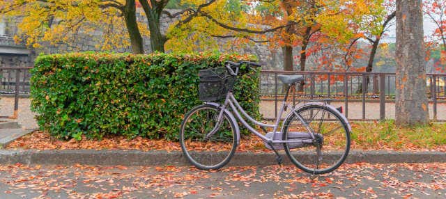 Tour di Osaka in bici