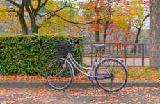 Osaka Bike Tour
