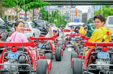 Balade en kart dans Osaka