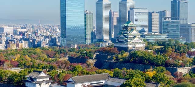 Tour de Osaka al completo con entradas