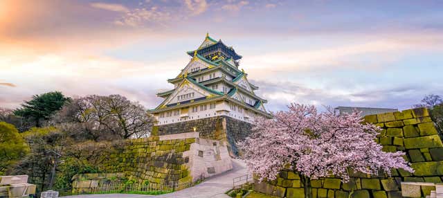 Visite privée dans Osaka