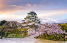 Tour privato di Osaka