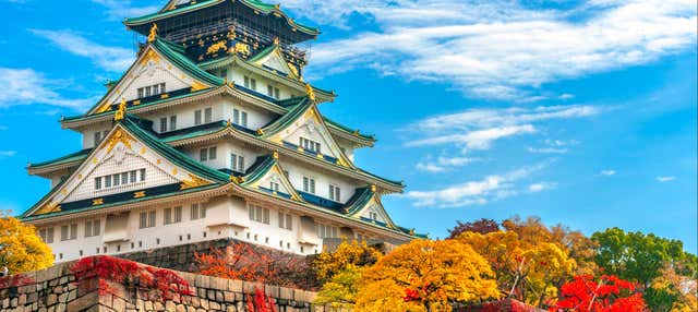 Visita guiada por Osaka y su Castillo