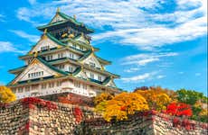 Visita guiada por Osaka y su Castillo
