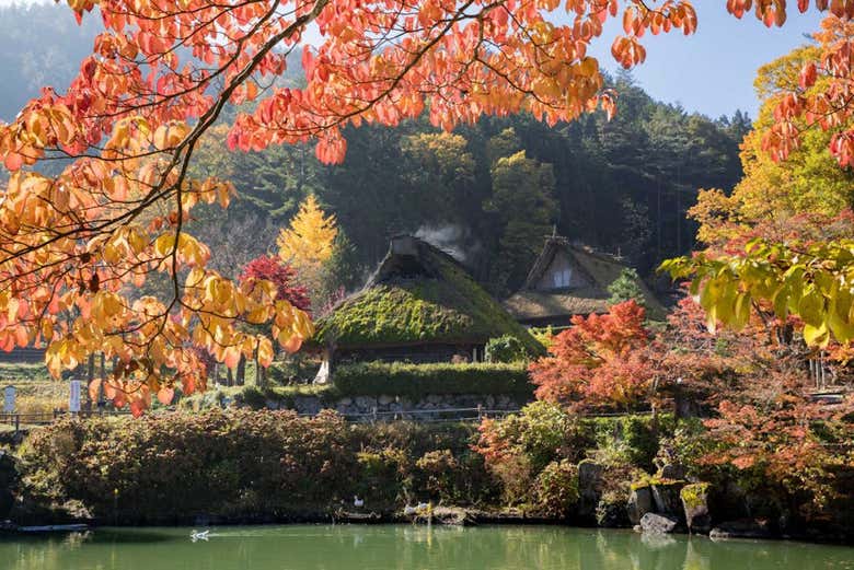 Descubriendo la aldea histórica de Shirakawago