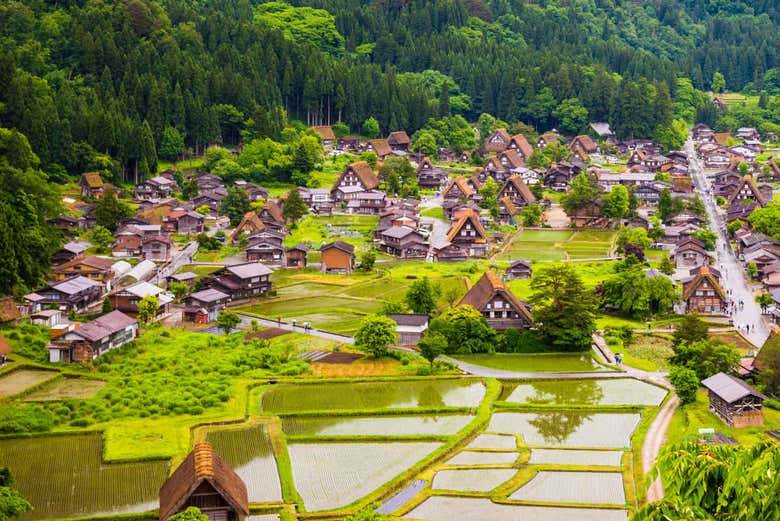 Panorámica de las casas de Shirakawago