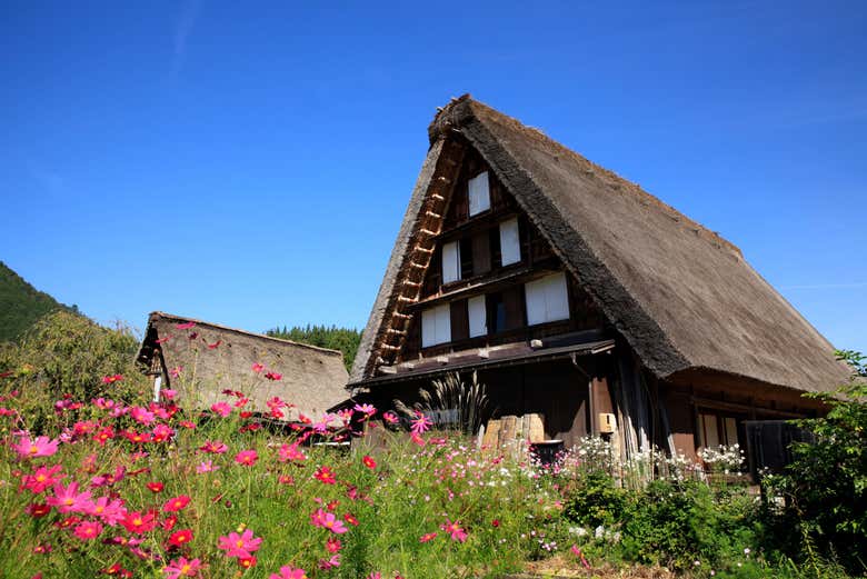 Una de las paradas durante el tour por Shirakawa