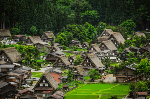 Visita guiada por Shirakawa