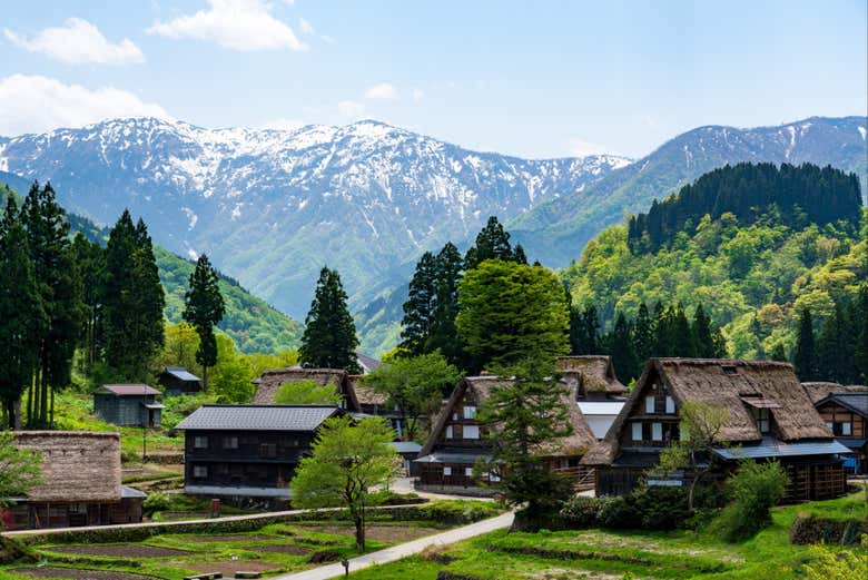 Marvel at the Japanese Alps!