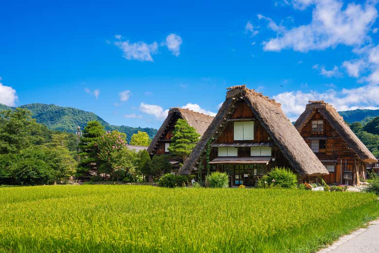 Admire the traditional houses in Shirakawago
