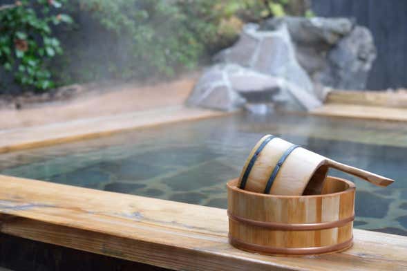 Biglietti per Oedo Onsen Monogatari