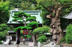 Kamakura Tour